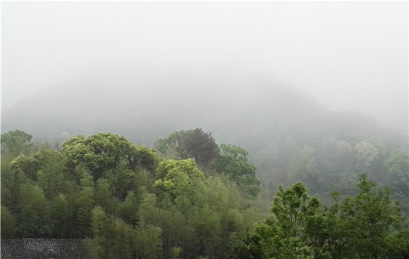 ������Դ