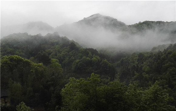 ������Դ