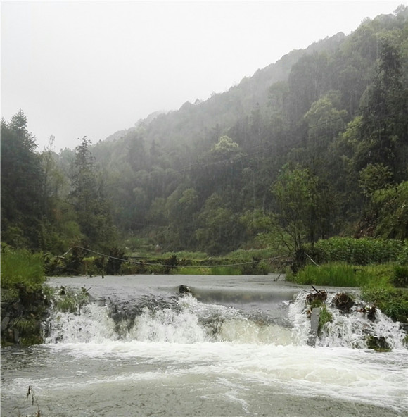 ������Դ