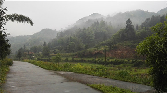 ������Դ