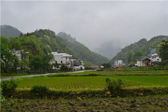 ������Դ