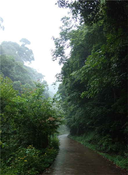 ������Դ