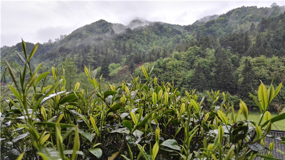 ������Դ