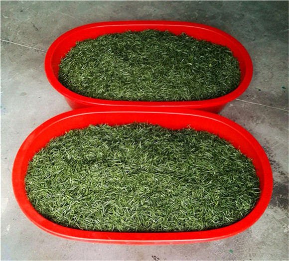 �{�ȴ��� �R�F�w��