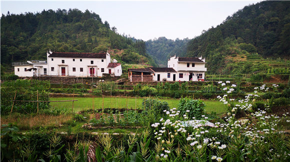 �������������Դҹ�