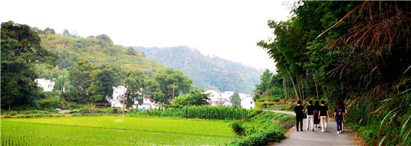 �������������Դҹ�