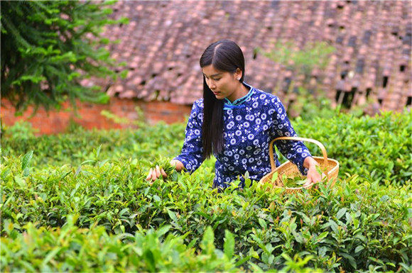 �{�ȴ��� �R�F�w��