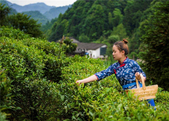 �{�ȴ��� �R�F�w��