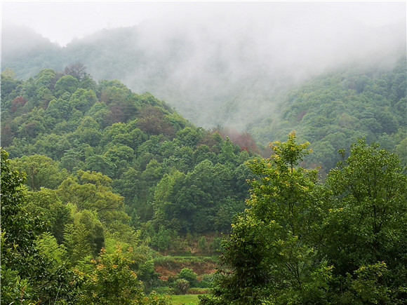 ���M������l(xi��ng)��׌���������Ȼ�ı���