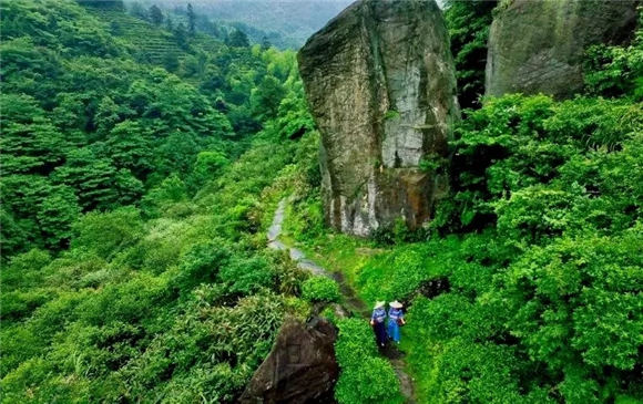 ���M������l(xi��ng)��׌���������Ȼ�ı���