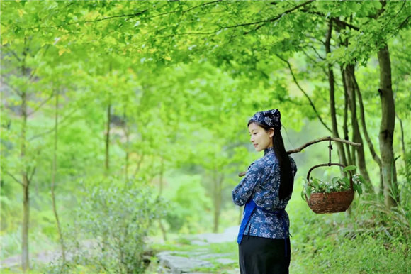 ��Դ�l�g�в���