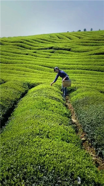 ��Դ�l�g�в���