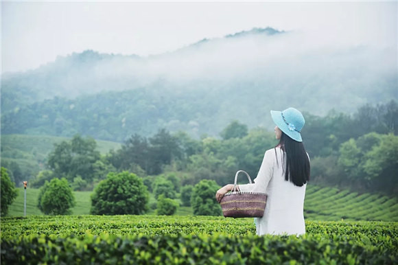 ��Դ�l�g�в���