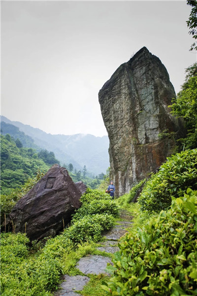 ��Դ�l�g�в���