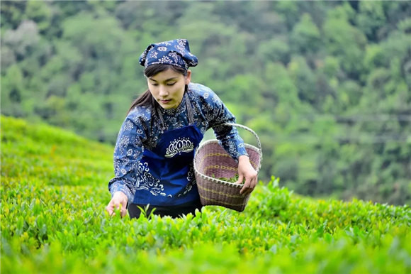 ��Դ�l�g�в���