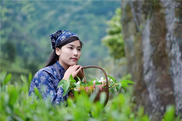 ��Դ�l�g�в���