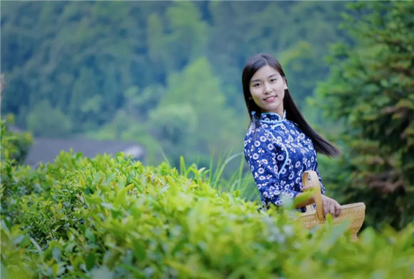 ��Դ�l�g�в���