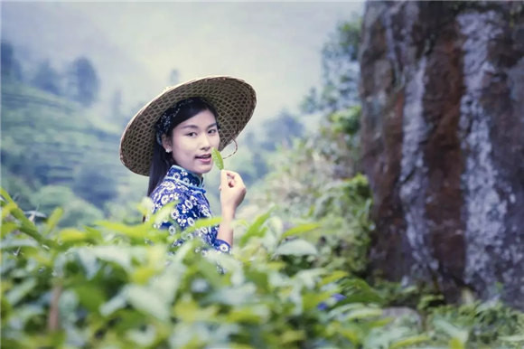 ��Դ�l�g�в���