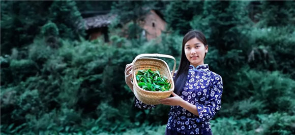 ��Դ�l�g�в���