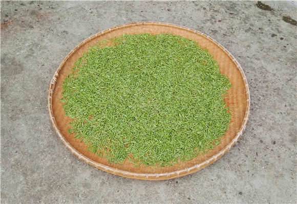 ��ʮ������衷