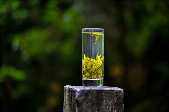 ��ʮ������衷