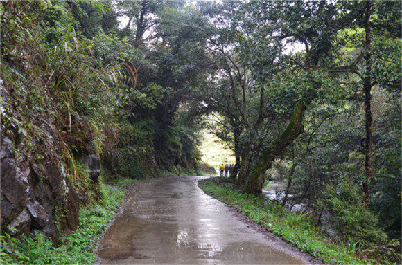 ���^Ԋ���{�ȴ���