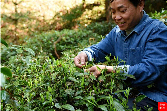 Ʒ��˼��{�ȴ�