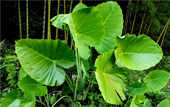 ���׿���