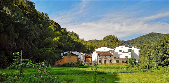 ���׿���