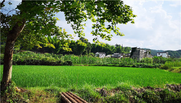 ��(xi��)��(bi��o)�Z(y��)