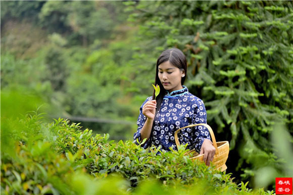 �����Z��