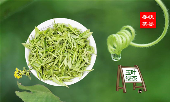 �����Z��