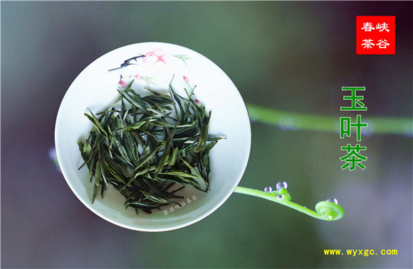 �����Z��