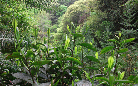 ��Դ�{�ȴ���