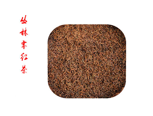 �R�F�w--�{����̎һĨ��