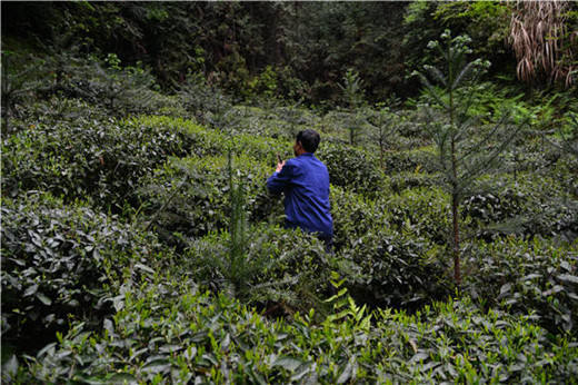 �����{�ȴ�