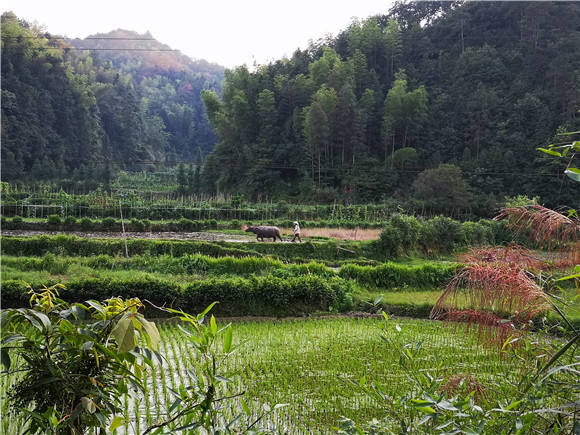 �����{�ȴ�