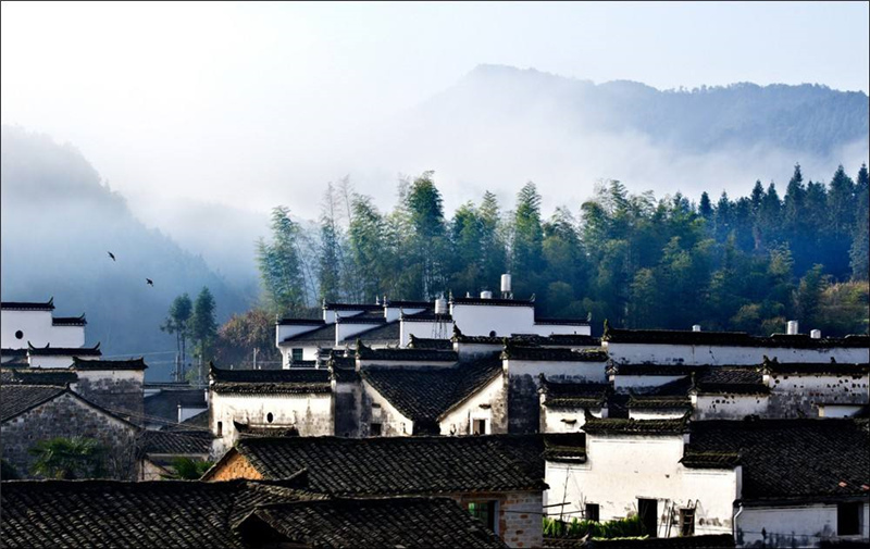 ˼������