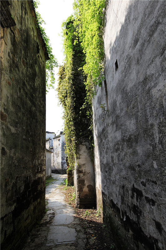 ˼������