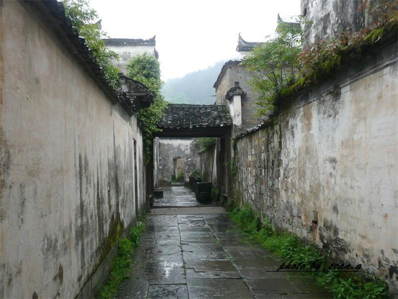 ˼������