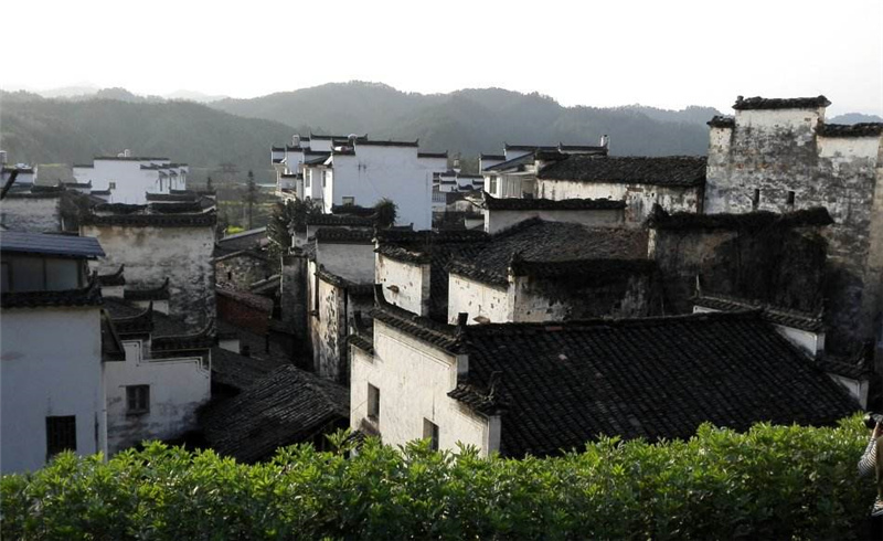 ˼������