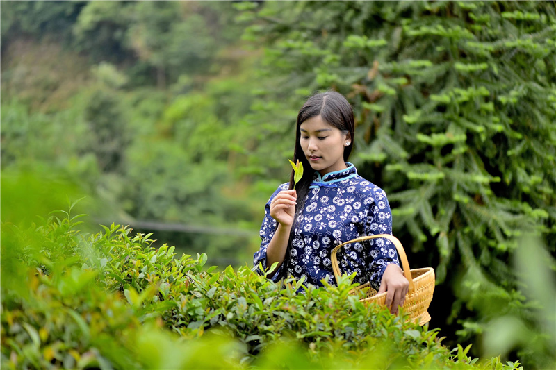 ���o��Ƭ�~�ӵ���Ԋ