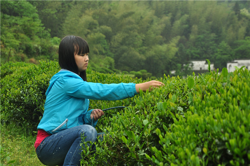 �{�ȴ������