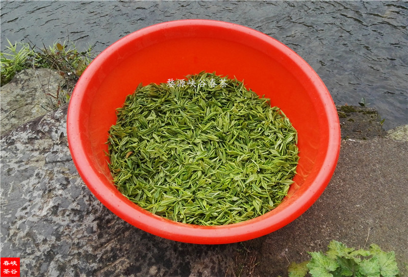 ��ǰ�����ܴ󱊲��ѵ���A