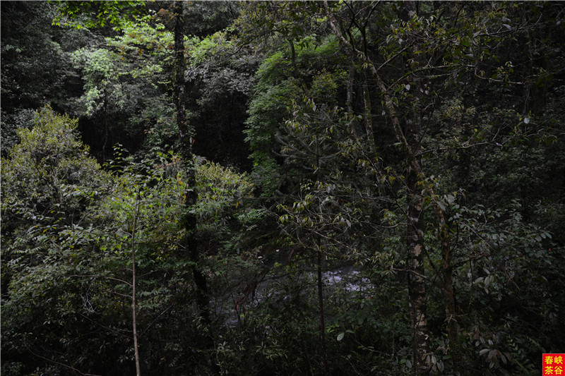 Ʒ�{�ȴ���