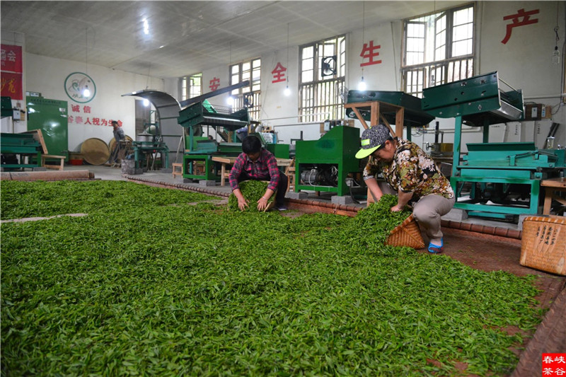 Ʒ�{�ȴ���