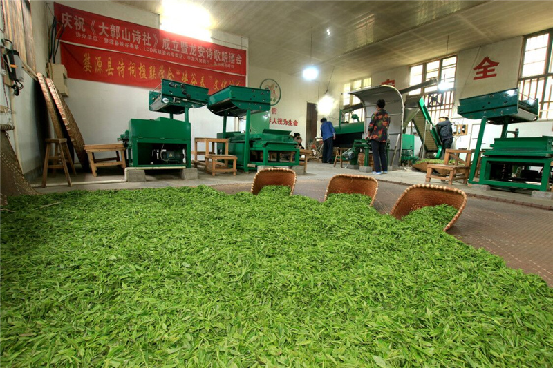 �����²�