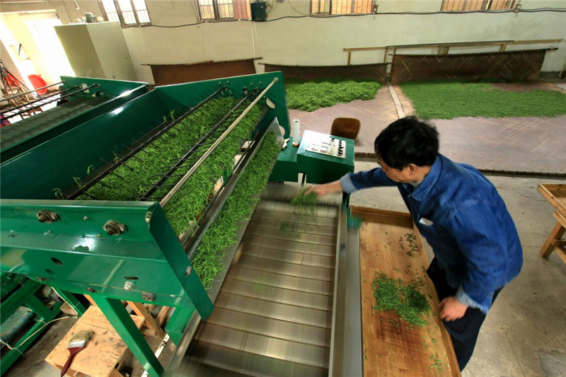 �����²�