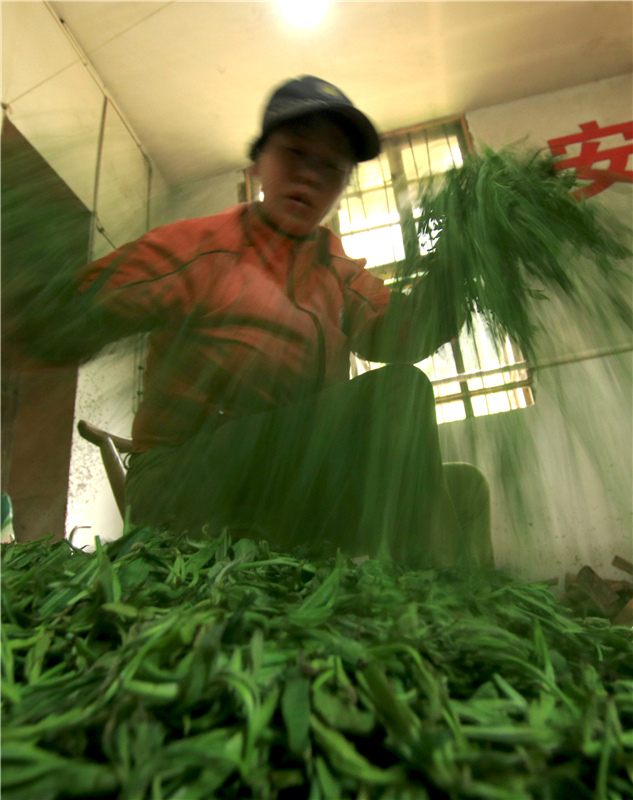 �����²�