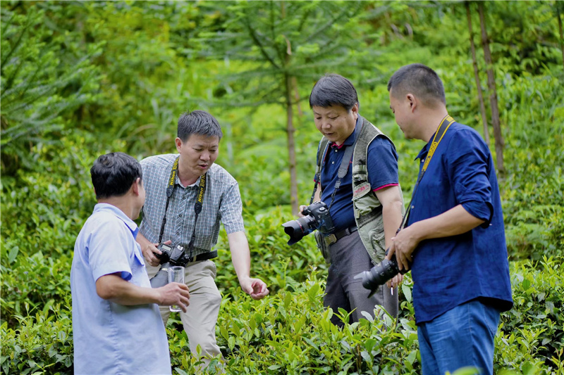 �����²�